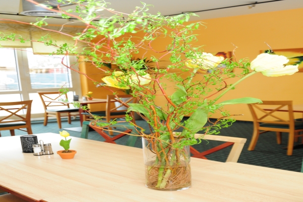 Hotel ibis Koeln Frechen